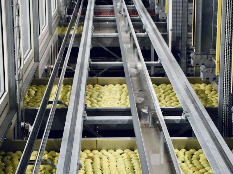 Aseptic Food Processing Plant — Shanghai